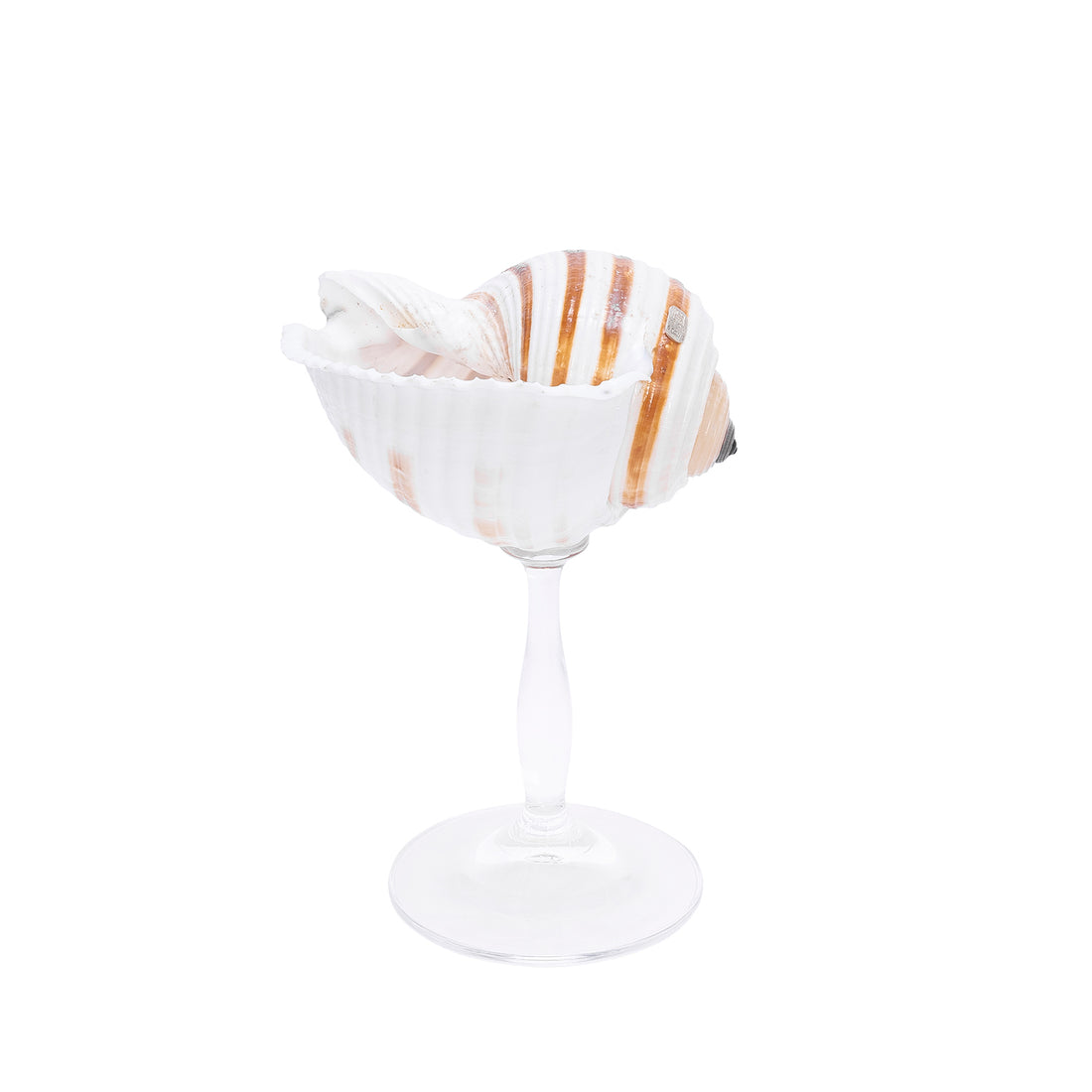 Cocktail Glass (Set of 2)